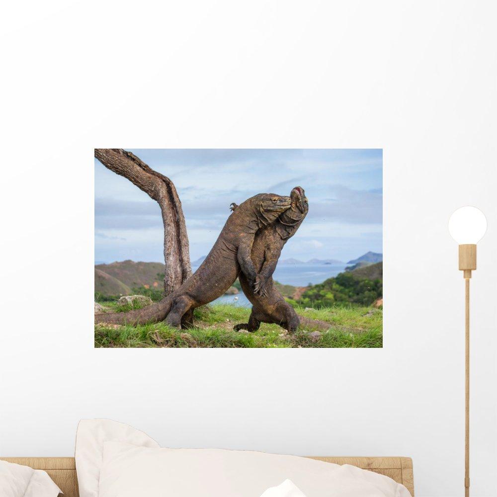 Novelty Lights 100 Foot C9 Multi Ceramic Christmas String Light Set - Outdoor Christmas Light String - Opaque Christmas Bulbs - Roofline Light String Outdoor String Lights - Black Wire