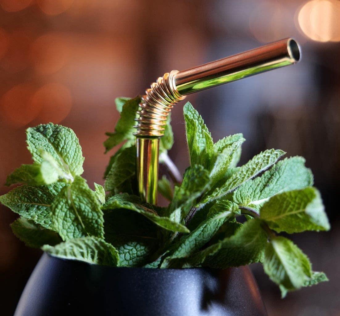 Nuts Bendable Straw | The Only Flexible Stainless Steel Straw | Patented & Hygienic Certified | Metal Straw | Reusable | Drinking Straws | 4 pcs Set + Straw Brush Cleaner (golden)