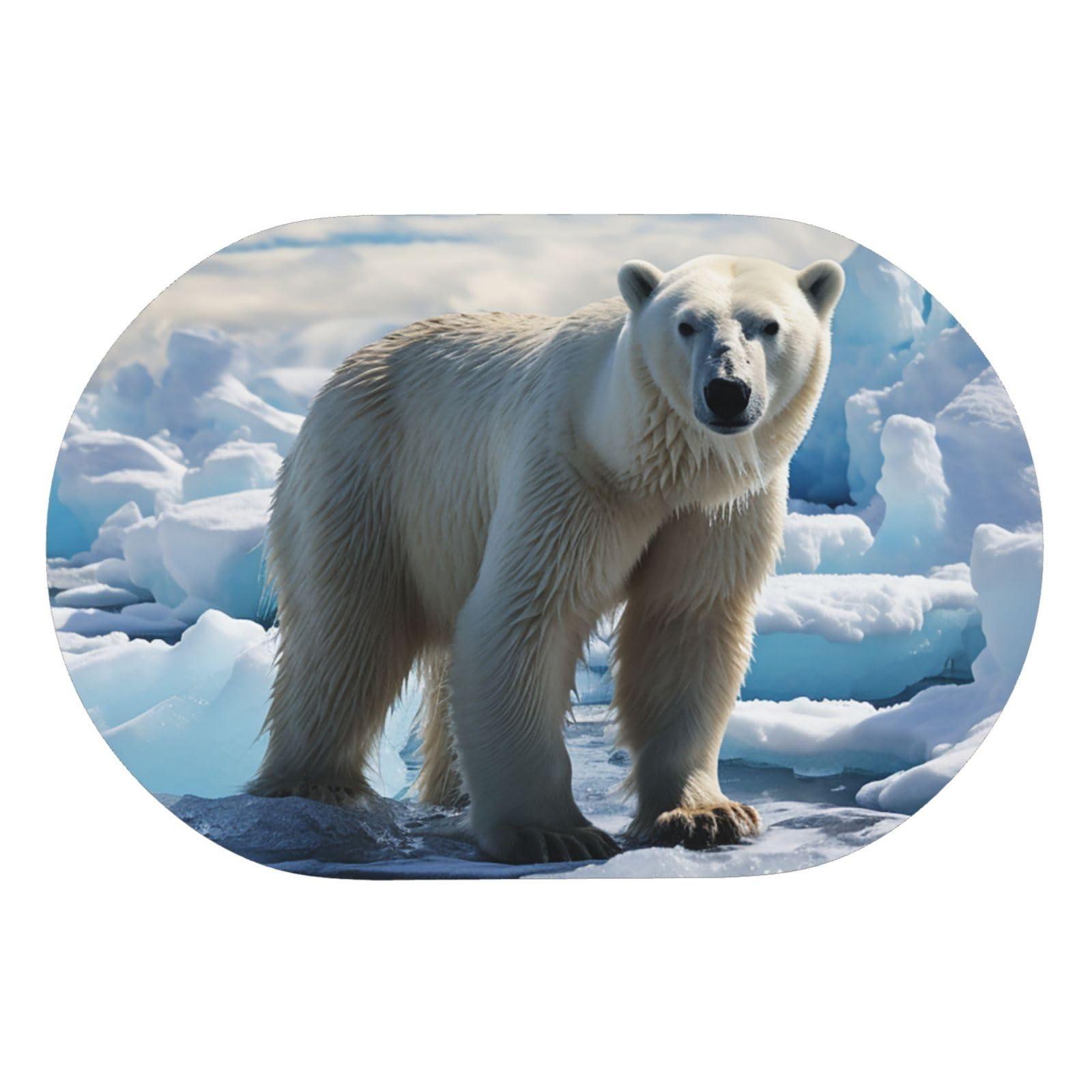 NONHAI Stone Bath Mats Polar Bear Ice Diatomaceous Earth Bath Mat Super Absorbent Bathroom Floor Mat Quick Drying Diatomite Shower Mat for Shower Bathtub Bathroom Accessory 15.7x23.6in