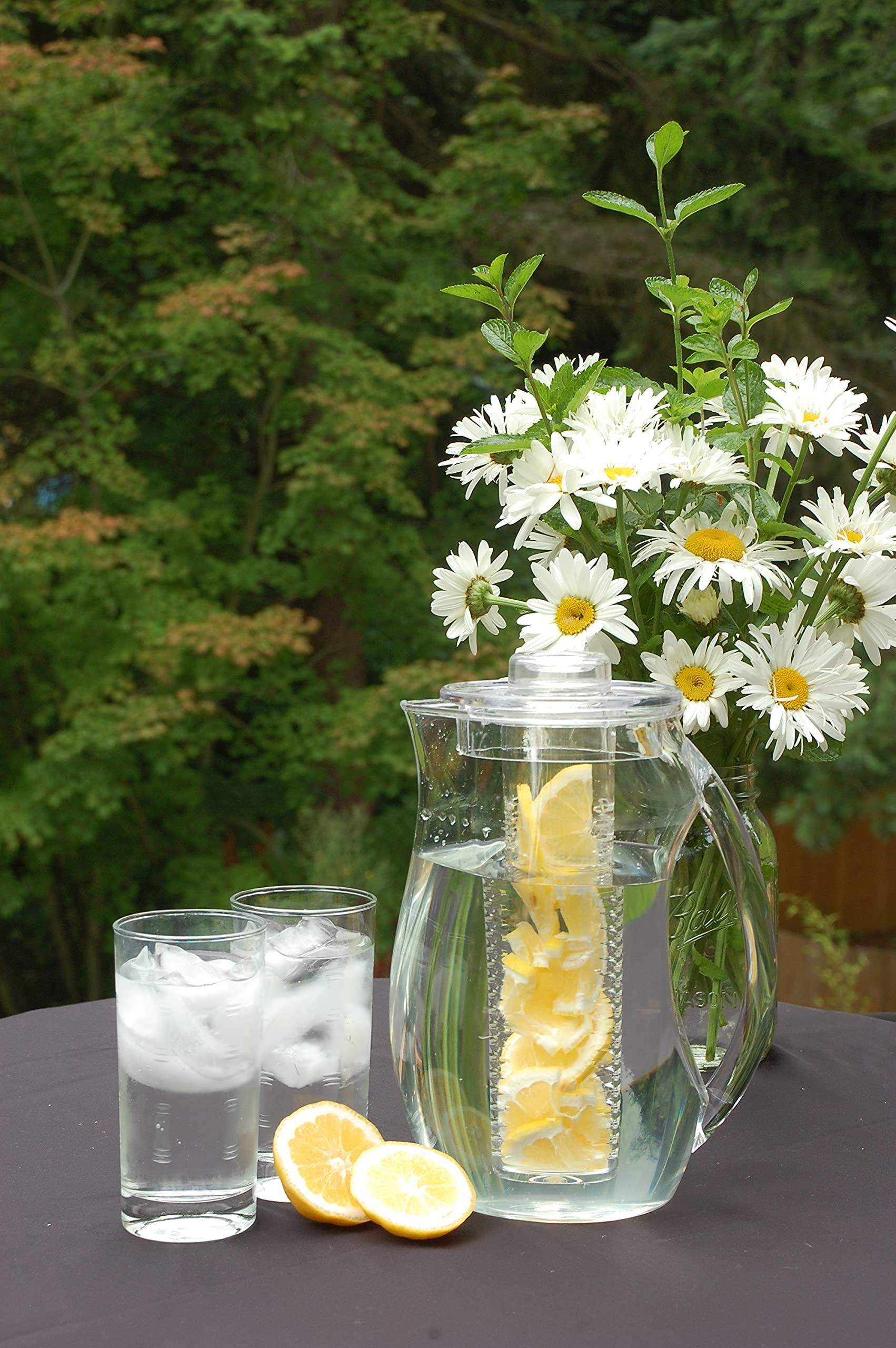 Prodyne Prodyne Fruit Infusion Flavor Pitcher, Clear, 93 oz.