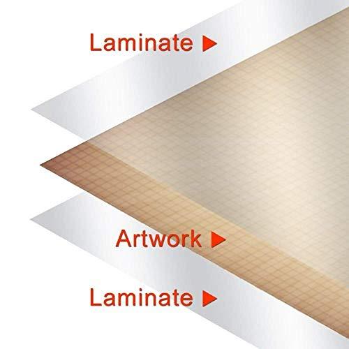 Feenix Publishing (24x36) Laminated Dogs of the World Educational Animal Chart Poster