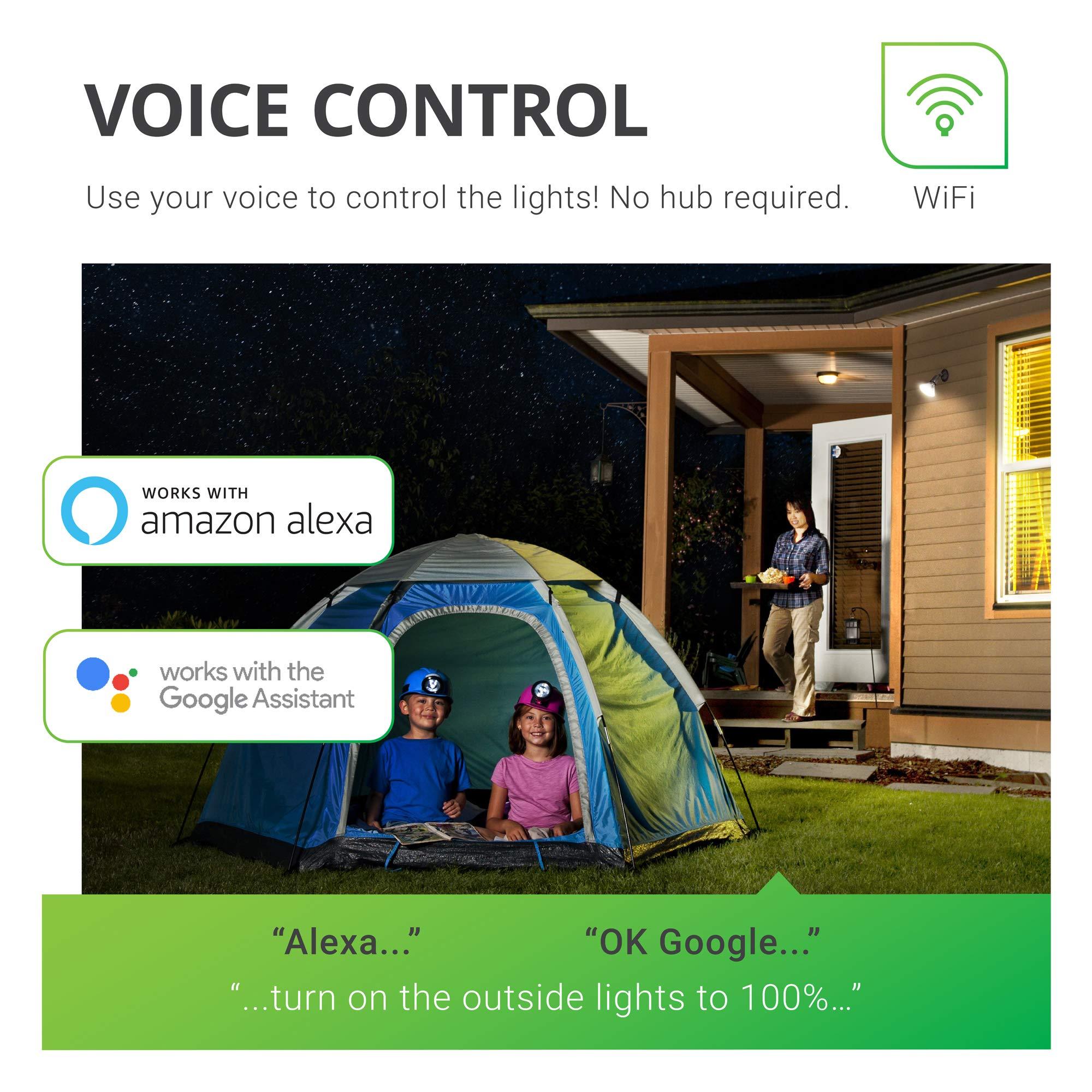 CarolGreyDecals Science Wall Decal Science Sign Classroom Wall Decal Science Quote Teacher Gift Education Vinyl Sticker Print Science Wall Art Kids School Wall Decor Logo Science Poster 930