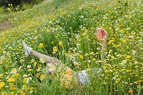 Ello Ello Campy Vacuum Insulated Travel Mug with Leak-Proof Slider Lid and Comfy Carry Handle, Perfect for Coffee or Tea, BPA Free, Georgia Peach, 18oz