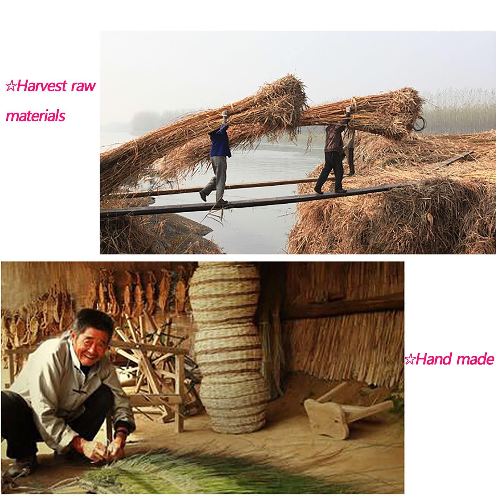 OCAZI OCAZI Roll-up Reed Shade Bamboo Shades Outdoor, Natural Bamboo Roll Up Window Blind Roman Shade Sun Shade Bamboo Shades for Patio Bamboo Roll Up Shades 4543inWH White