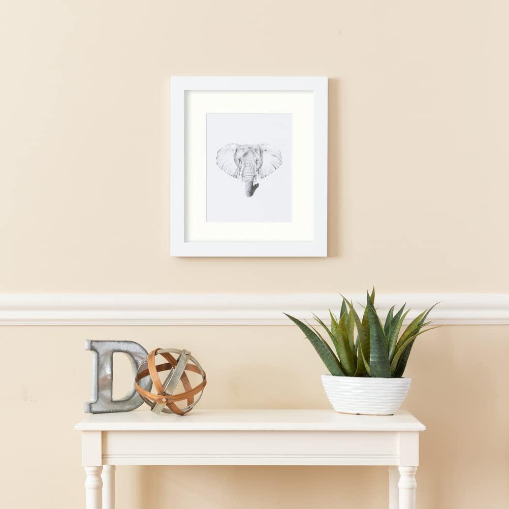 ArtToFrames ArtToFrames 11x13 inch Satin White Frame Picture Frame with 2 Inch Single Porcelain Mat, SingleMat-FRBW26074-11x13-754