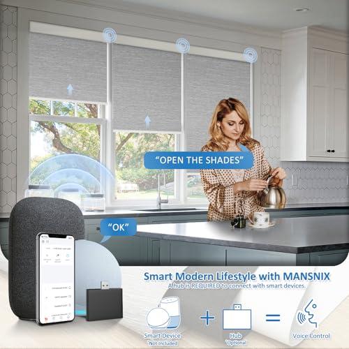 MANSNIX MANSNIX Smart Motorized Blinds with Remote, Cordless No-Drill Automatic Roller Shades, Blackout Electric Blind for Windows, Grey, 24 x 72