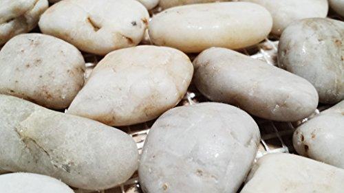 Sunny Pebble Stone Interlocking Pebble Floor Tiles (8-Pack) Kitchen, Bathroom, and Patio Flooring | Indoor and Outdoor Use | Natural Polished Cloud Stones | Quick and Easy Grout Installation