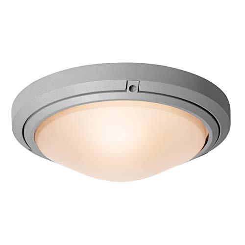 Access Lighting - HI Access Lighting 20356LEDDMGLP-SAT/FST Oceanus Outdoor Flush Mount, 2-Light 20 Total Watts, Satin