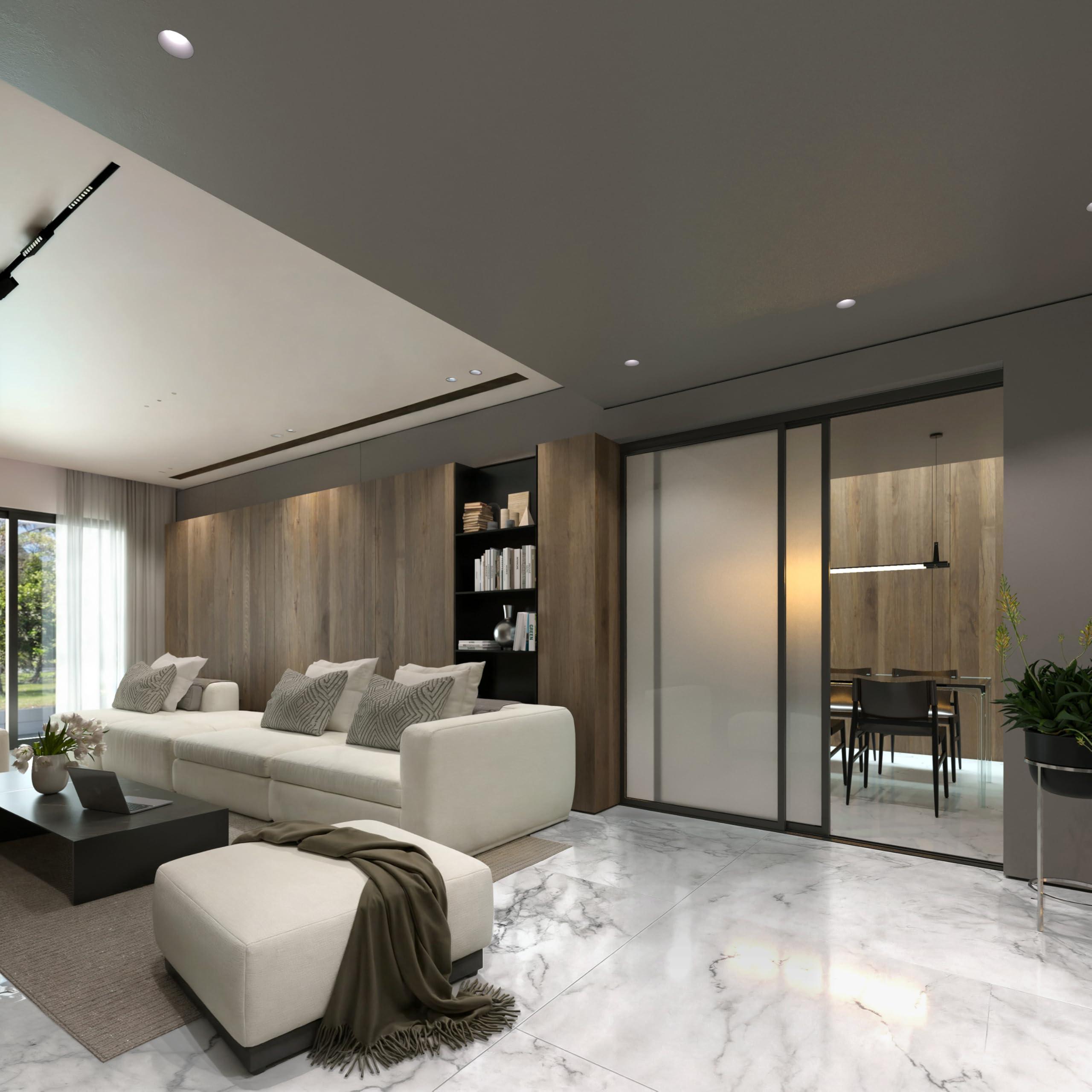 Doors55 Doors 55 Glass Room Divider Panel and Partition Wall, Partition Wall Divider & 2 Panel Room Divider - Perfect Wall Divider for Room Separation & Partition Room Dividers (Frosted Glass, 72x80)