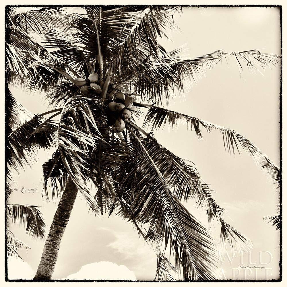 Posterazzi Posterazzi Collection Palm Tree Sepia II Poster Print by Debra Van Swearingen (12 x 12)