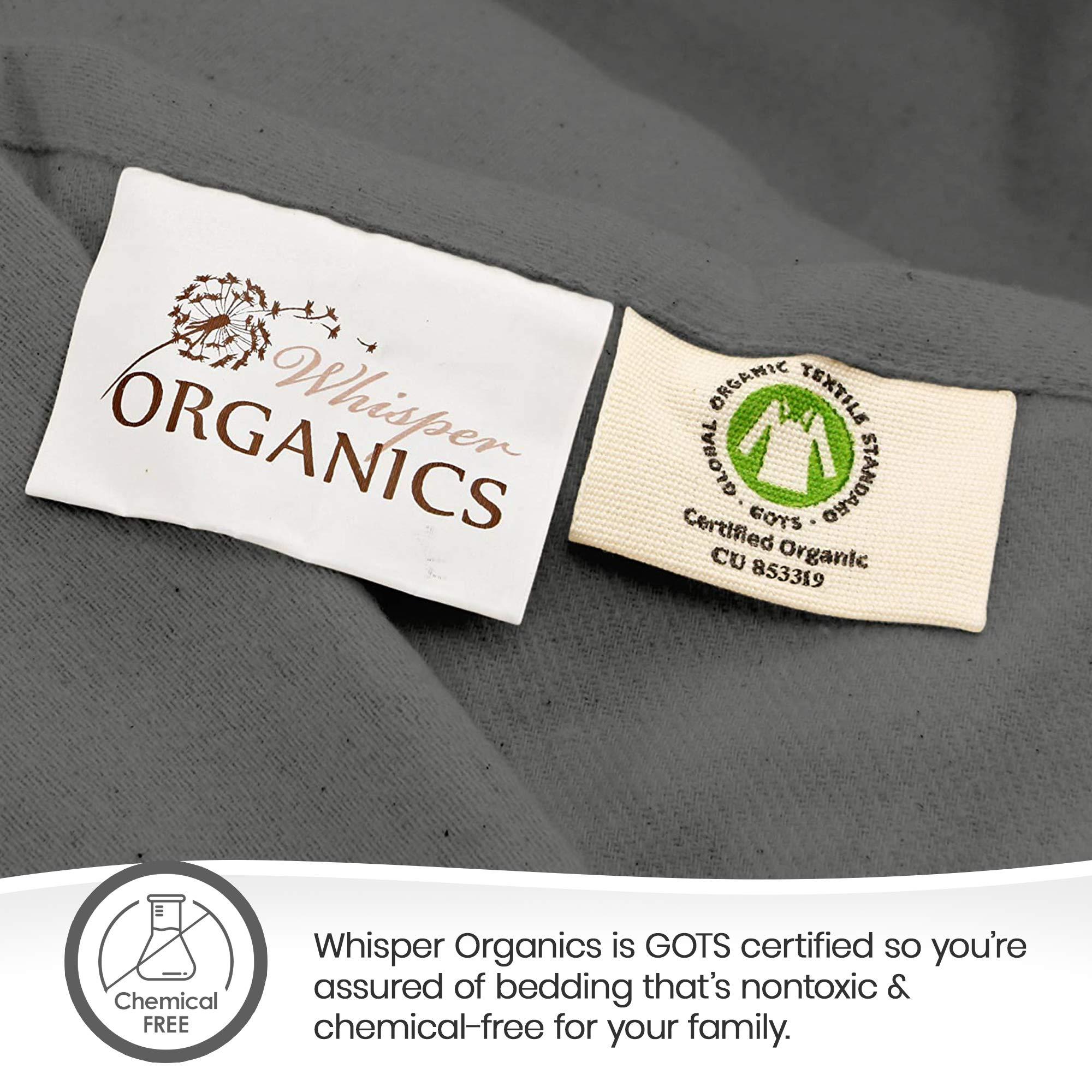 Whisper Organics 100% Organic Flannel Sheets King Size - GOTS Certified 100% Cotton Flannel Sheets Set with Comfortable Soft Brushed Finish & Deep Pocket - 1 Flat 1 Fitted & 2 Pillowcases (Dark Gray, King)