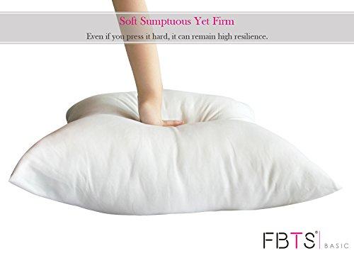 FBTS Basic FBTS Basic Throw Pillow Inserts 18x18 Inch Square Sham Stuffer Down Alternative Pillow Forms for Decorative Cushions and Pillows