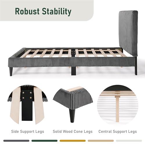 HOMES: Inside + Out HOMES: Inside + Out Lysandra Modern Bed Frame Queen Size with Upholstered Headboard and Corduroy Fabric Cover, No Box Spring Needed for Bedroom, Guest Room, Dark Gray