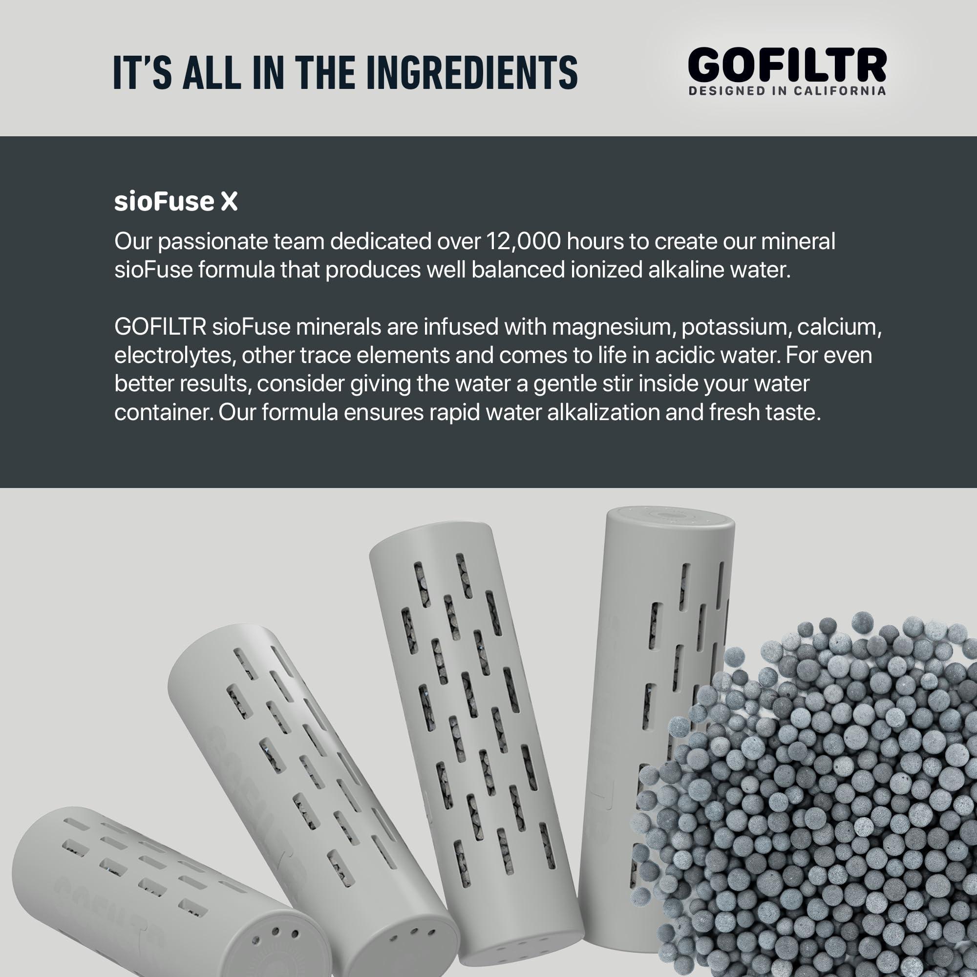 GOFILTR GOFILTR Alkaline Water Infuser (Original 2 Pack) 9.5 pH + Electrolytes for Any Water Bottle/Small Pitcher, 750 Refills / 3 Months, 2 Ionized Mineral Water Infusers