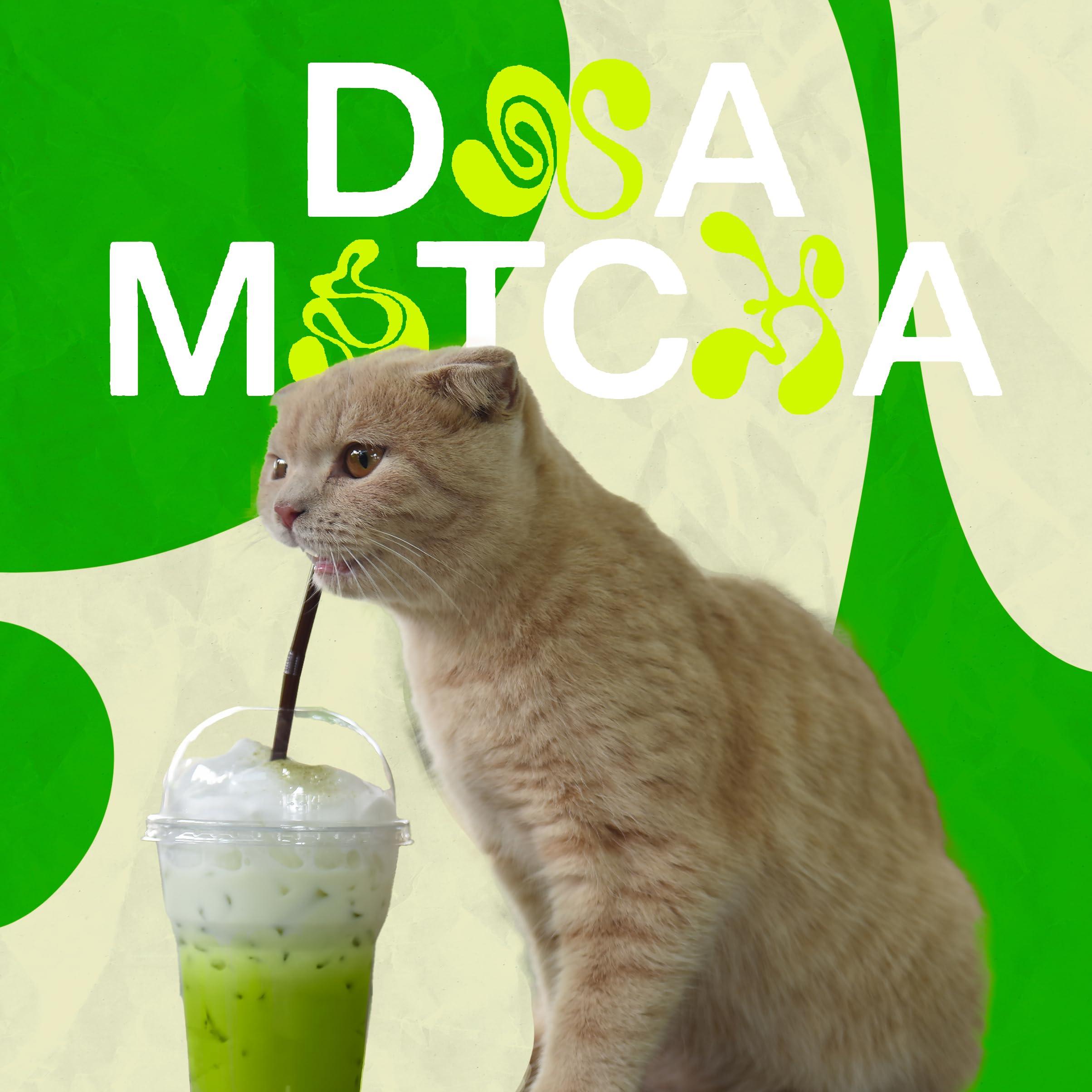 MATCHA DNA DrinkMatcha Organic Matcha Green Tea Powder 1 LB 100% Pure Matcha | Nothing Added | Perfect for Lattes, Smoothies, Baking (16 Ounce)