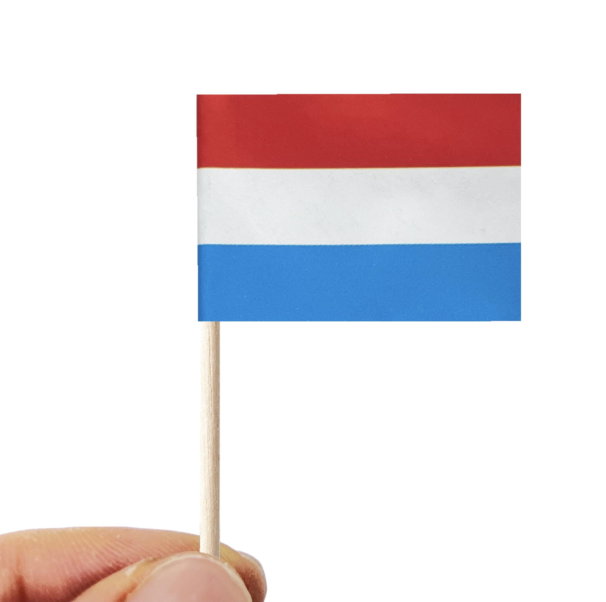 stidsds stidsds 100 Pcs Luxembourg Flag Luxembourgers Toothpick Flags Mini Small Luxembourg Cupcake Toppers Stick Flags Banner Party Cocktail Fruit Decoration