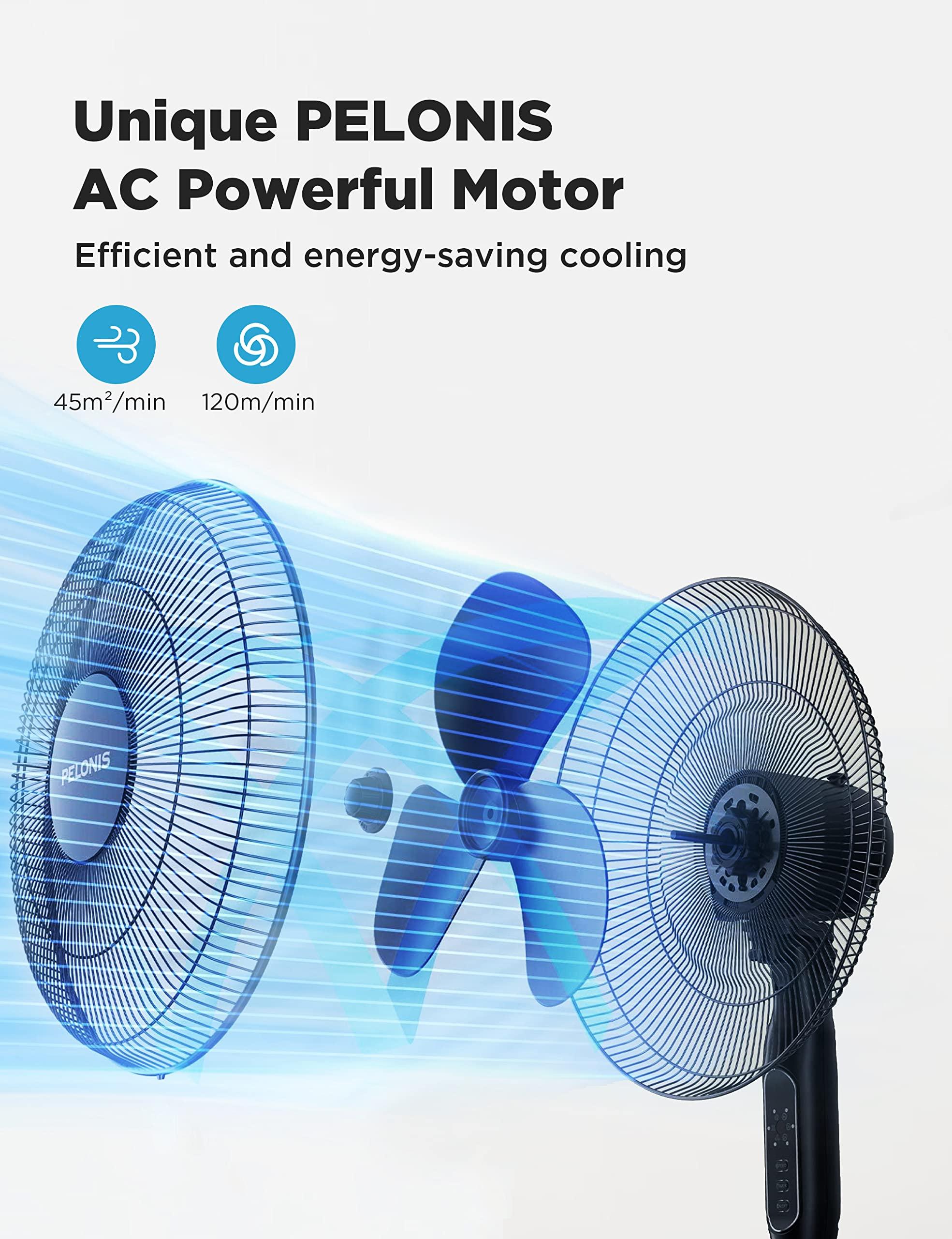 PELONIS PELONIS 16'' Pedestal Remote Control, Oscillating Stand Up Fan 7-Hour Timer & Table Fan 12-Inch Oscillating Table Fan Small Portable Electric Plug-In Desk Fan