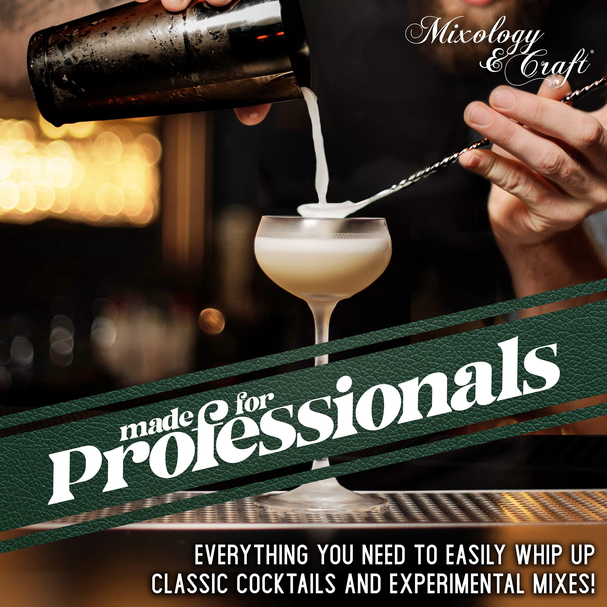 Mixology & Craft Mixology & Craft Bartender Kit: 10-Piece Bar Tool Set with Bamboo Stand | Perfect Home Bartending Kit and Martini Cocktail Shaker Set Great Drink Mixing Experience | Fun Housewarming Gift (Gun-Metal)