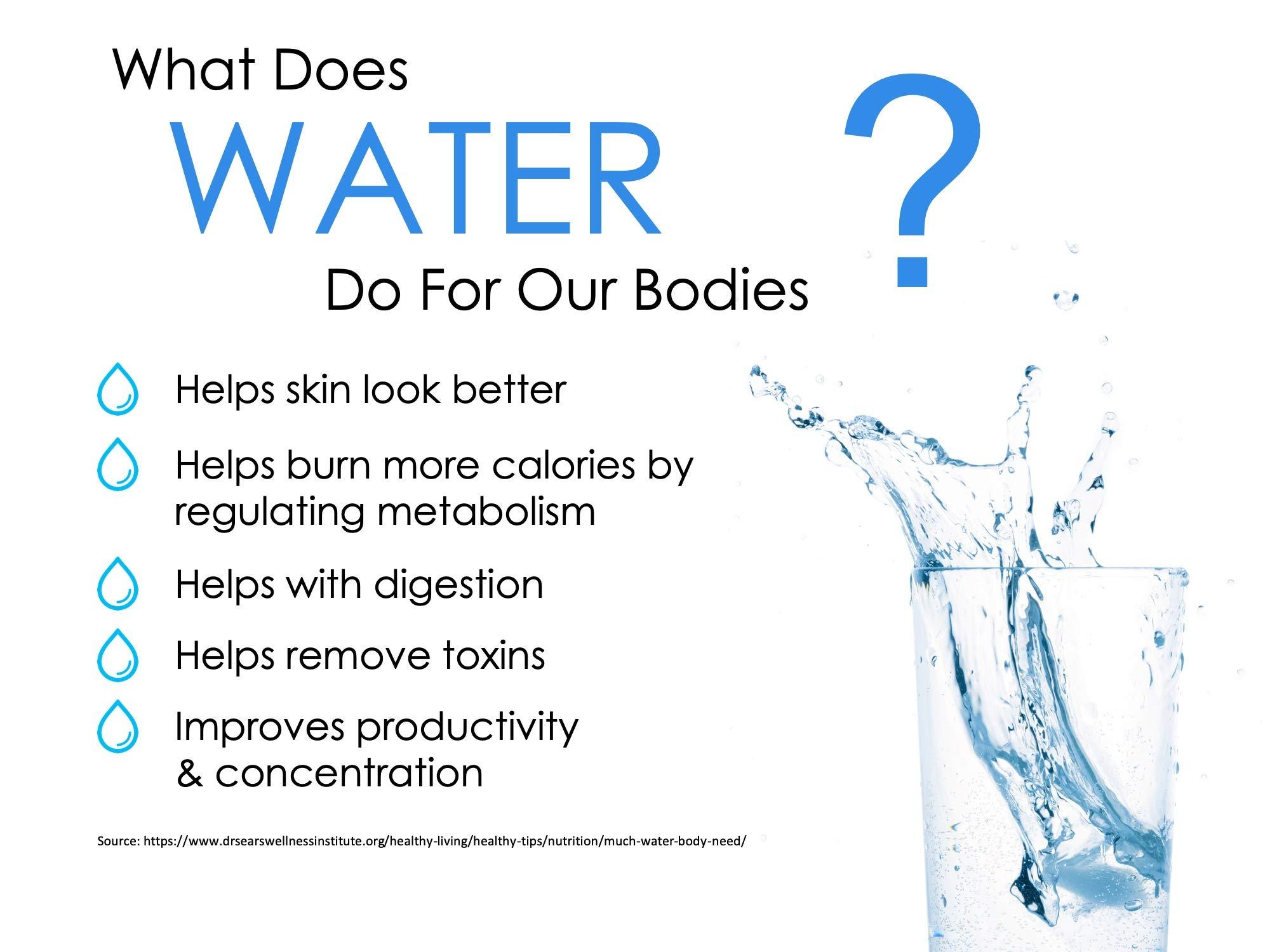 Multipure Multipure Aquaversa - Inline (No Hardware Included and No Faucet)