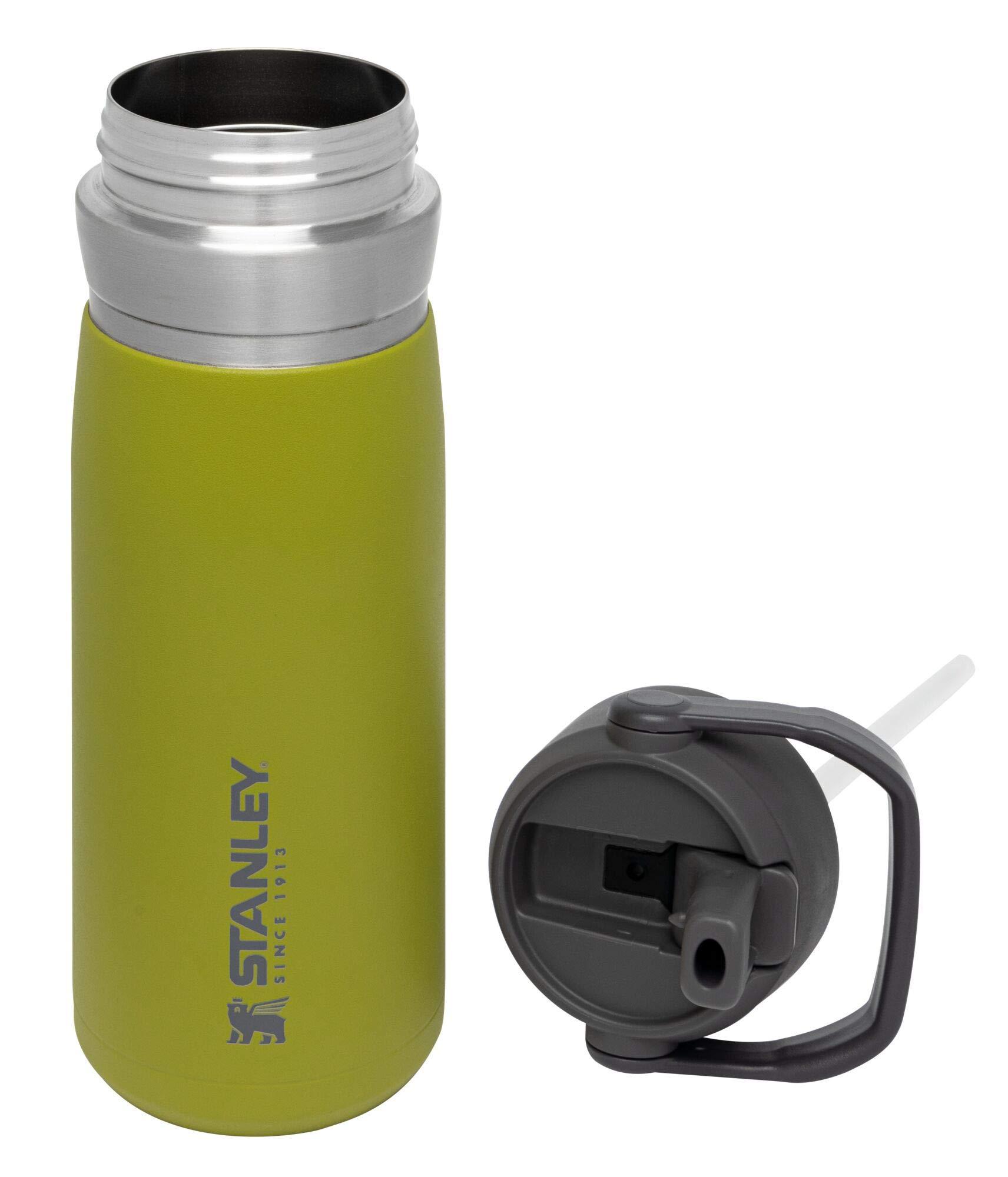 STANLEY Stanley IceFlow Stainless Steel Bottle with Straw, Vacuum Insulated Water Bottle for Home, Office or Car, Reusable Leak Resistant Cup with Straw and Handle Aloe, 22OZ