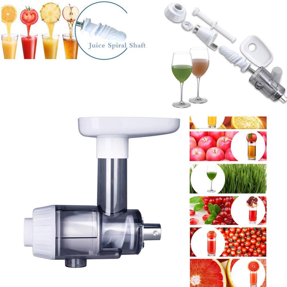 Normal Household Wheatgrass Juicer Multifunctional Electric Fruit Juicers Orange Apple Slow Masticating Juice Extractor Machine Original Healthy Juice Cold Press Juicer Maker (White)