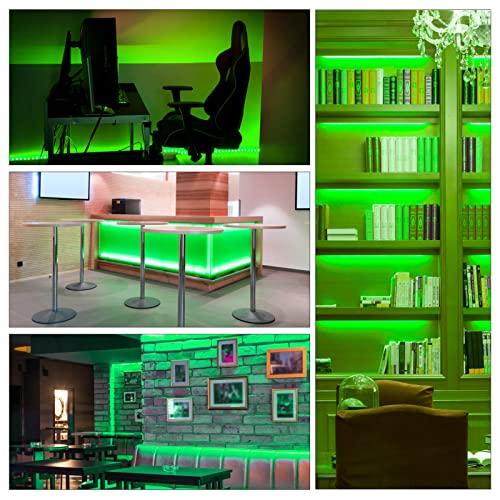 iNextStation iNextStation 12V LED Light Strip IP65 Waterproof Green LED Strip Lights 16.4ft/5m Cuttable 300 SMD 2835 LED Tape Flexible Led Lights for Bedroom Outdoor Indoor Decor (Power Adapter not Included)