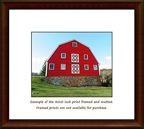 Generic Big Red Dairy Barn. A fine art photograph of a pretty red dairy barn with a Gambrel roof. Wonderful double-X brace doors!
