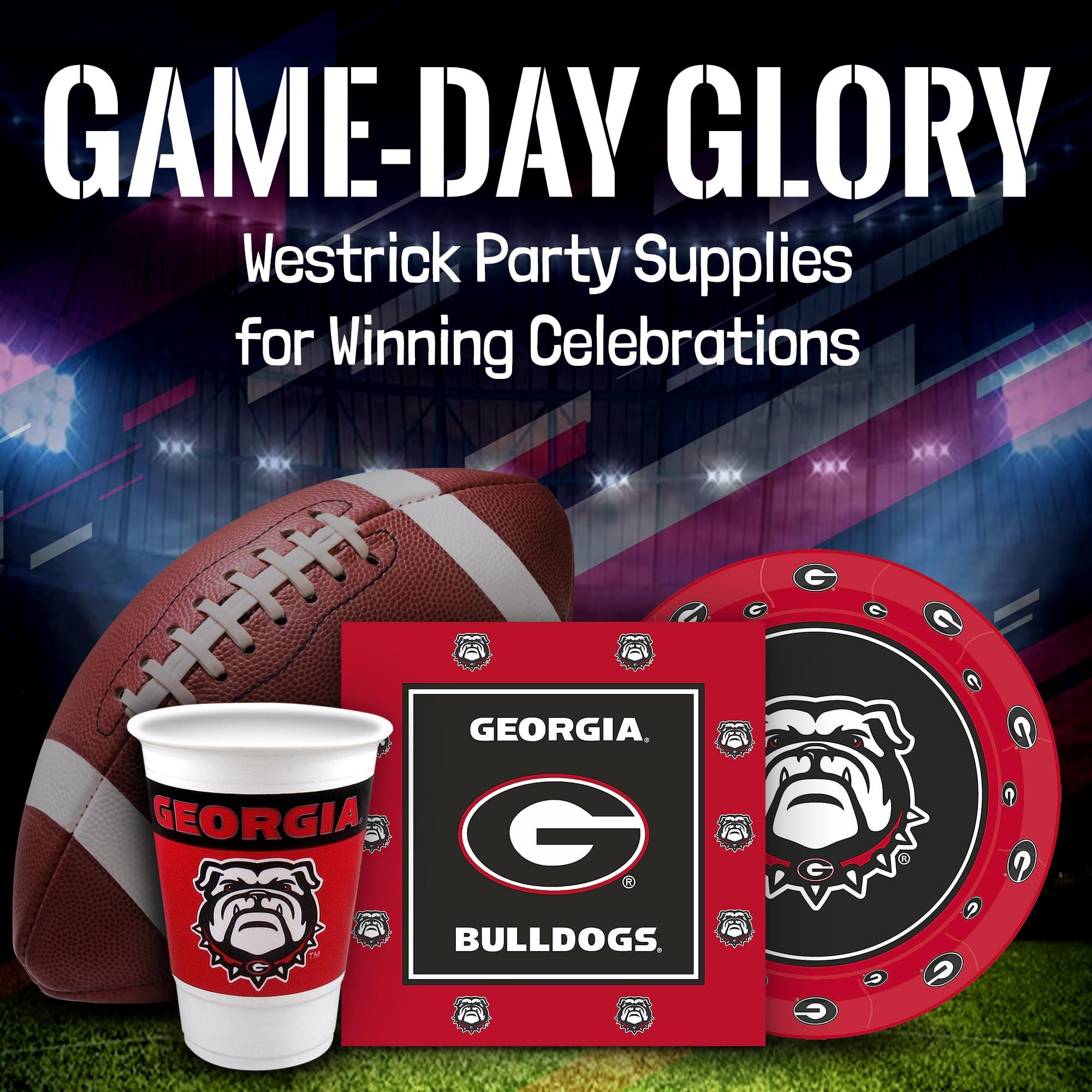 Westrick UTSA Roadrunners Party Supplies 48 Piece Officially Licensed University Set: 16 oz. Plastic Beverage Cups, 9\" Paper Plates, Luncheon Napkins, Complete Party Supplies for 16 Guests by Westrick