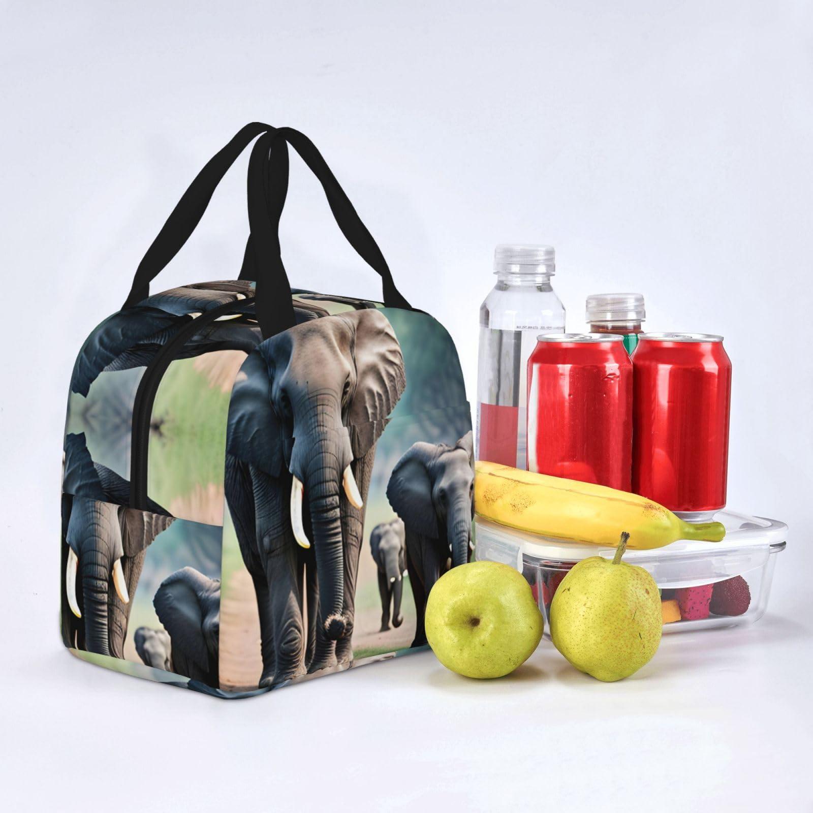 ZISHAK Elephant Family Lunch Bag Box Reusable Insulated Lunch Tote Bag,Leakproof Thermal Sack Food Case High Capacity