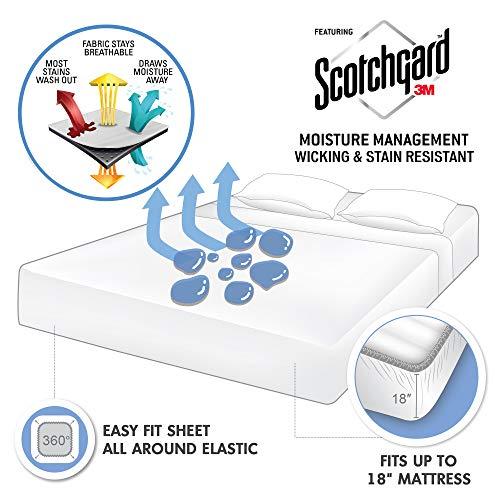 Madison Park Madison Park 3M Microcell Bed Sheet Set Color Fast, Wrinkle and Stain Resistant, Soft Sheets with 16" Deep Pocket All Season, Cozy Bedding-Set, Matching Pillow Case, Twin XL, Blush, 3 Piece