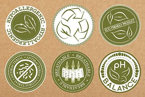 Elegant Comfort Elegant Comfort 2-Pack Luxury Flat Sheet Premium Hotel Quality Wrinkle and Fade Resistant 1500 Thread Count Egyptian Quality 2-Piece Bed Top Sheet, King/California King, Cream