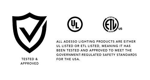 Adesso Adesso 3138-12 Wright Shelf Lamp, Natural Wood Veneer on Mdf