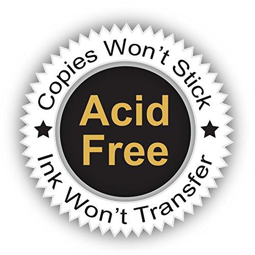 C-Line C-Line Memory Book 12 x 12 Inch Scrapbook Page Protectors, Clear Poly, Top Load, 50 Pages per Box (62227)