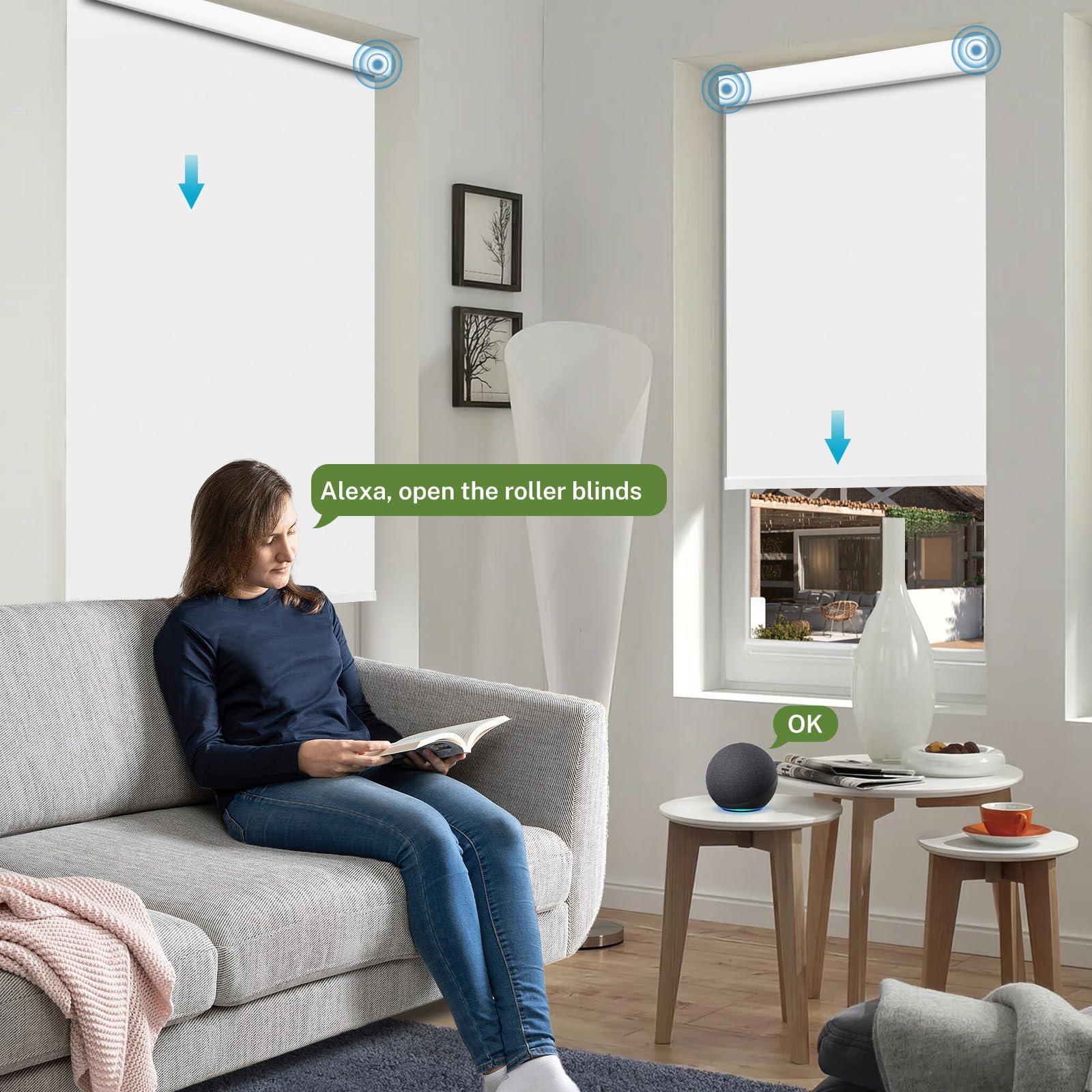 MiLin MiLin Motorized Roller Window Shades Smart Cordless Blinds & Shades Direct Connection to Alexa Motorized Blinds with Remote Both Side Same Color (100% Blackout Hazel, 62" W x 80" H)