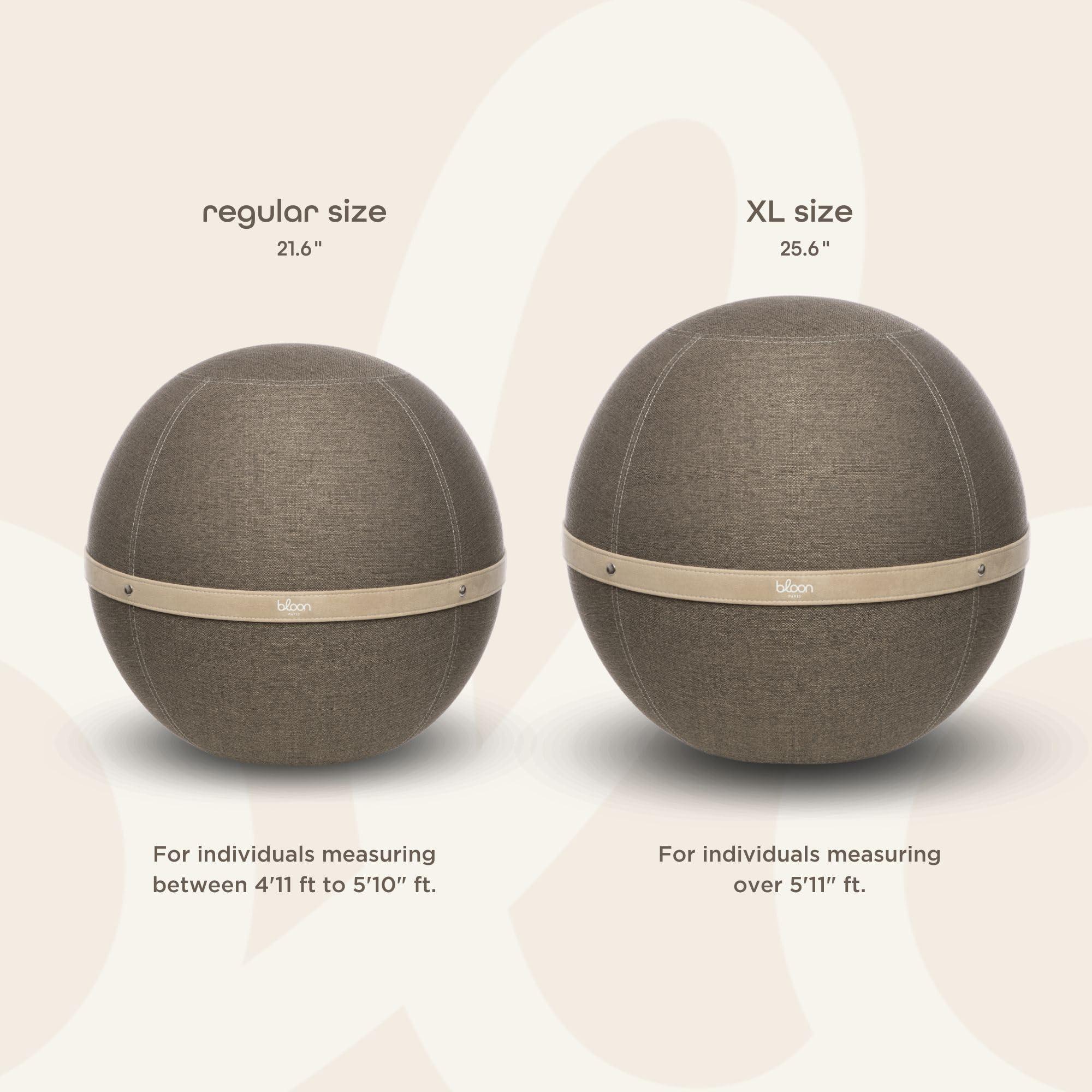 Bloon Paris Bloon Paris Ergonomic Sitting Ball Chair - Premium Desk Chair for Home and Office with Active Seating - Durable & Stylish Balance Ball Chair - Grey Platinium - Regular Size