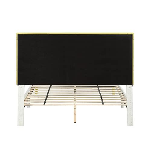 ROWADALO ROWADALO 5 Pieces Mermaid Scale Glitter Comforter Set Fish Scale Shell Starfish Girls Bedding Set,Gradient Rainbow Mermaid Tail Bed in A Bag Twin Size Complete Set for Girls Bedroom,MRY502-Twin