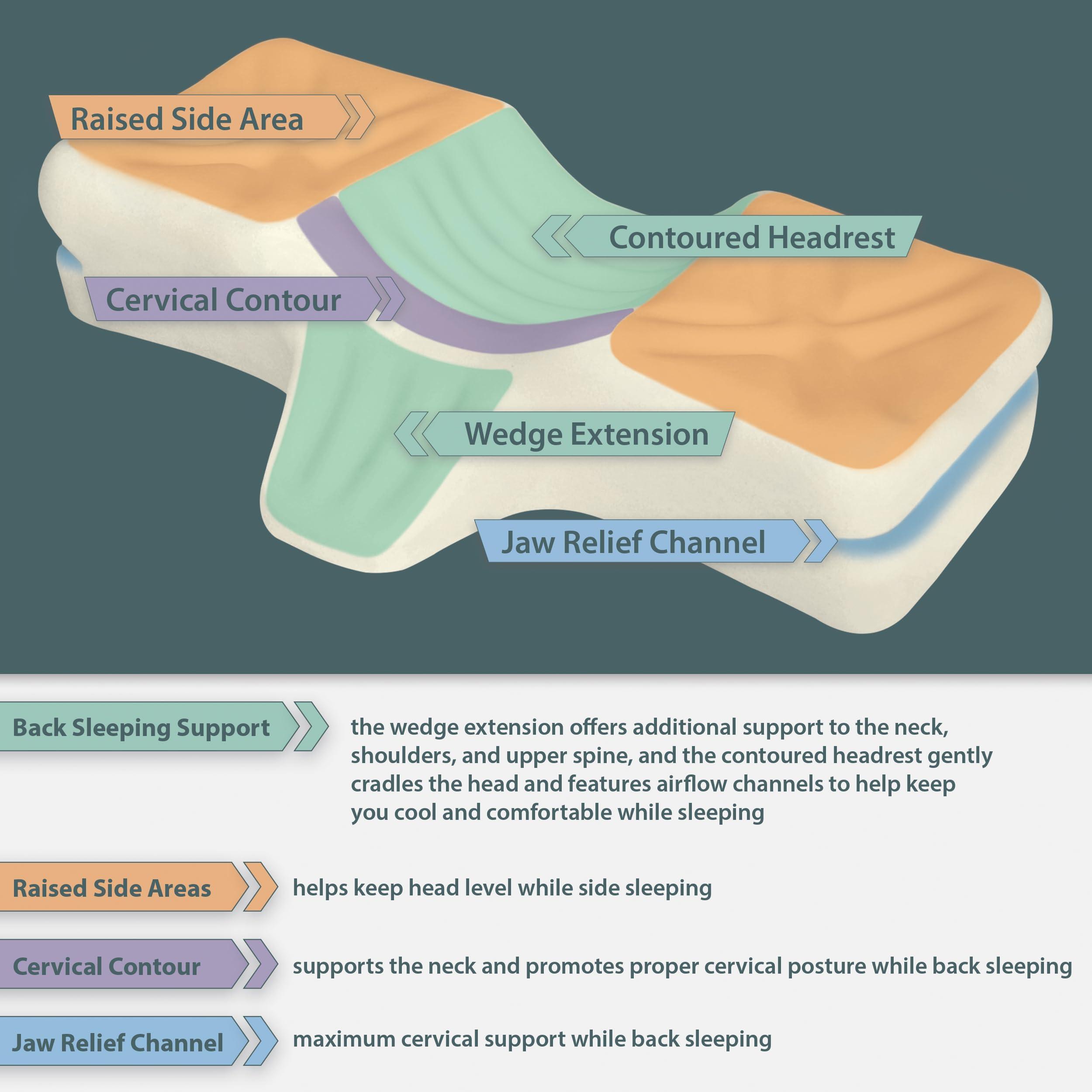 Therapeutica Therapeutica Lite Cervical Orthopedic Foam Sleeping Pillow; for Neck, Shoulder, and Back Pain Relief; Helps Spinal Alignment; Back and Side Sleeping, Medium Firm - Petite