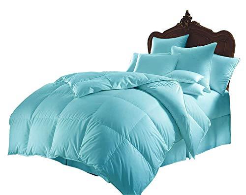RU BEDDING RU BEDDING Down Alternative Comforter, All Season Comforter - Fiberfill Duvet Insert - Box Stitched, Size-Queen (90\"X102\") Colour Aqua Blue