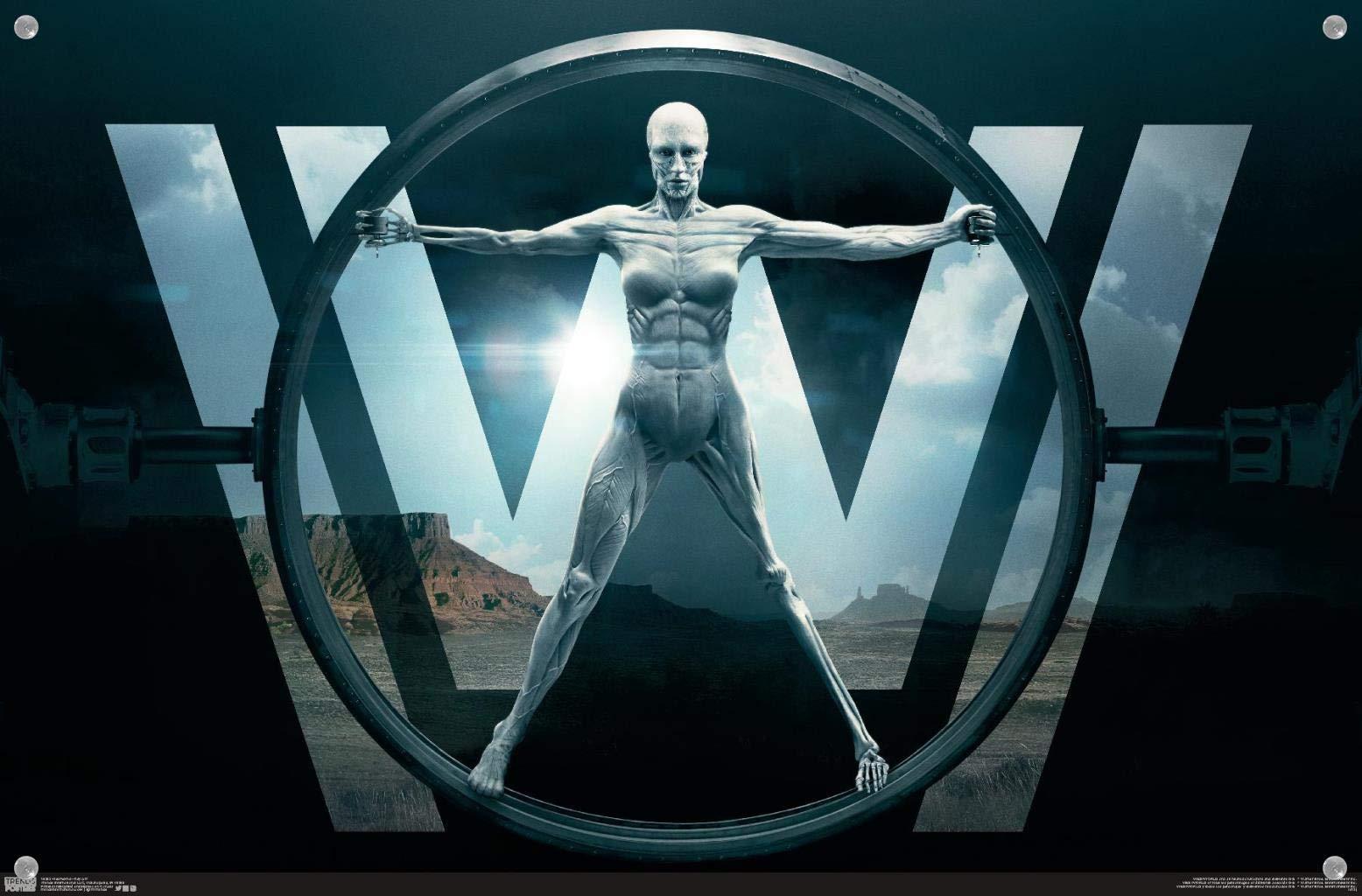 Trends International Trends International Westworld - Key Art Wall Poster with Push Pins