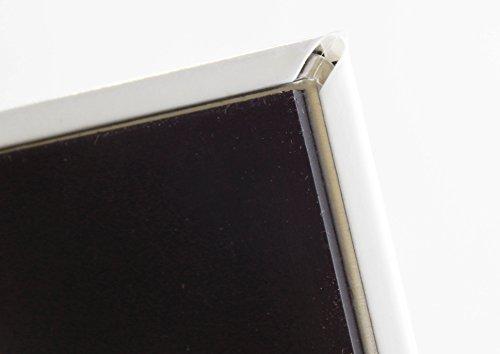 Blue Crab Magnets Frog With Lute Fridge Magnet (2.5 x 3.5 inches)