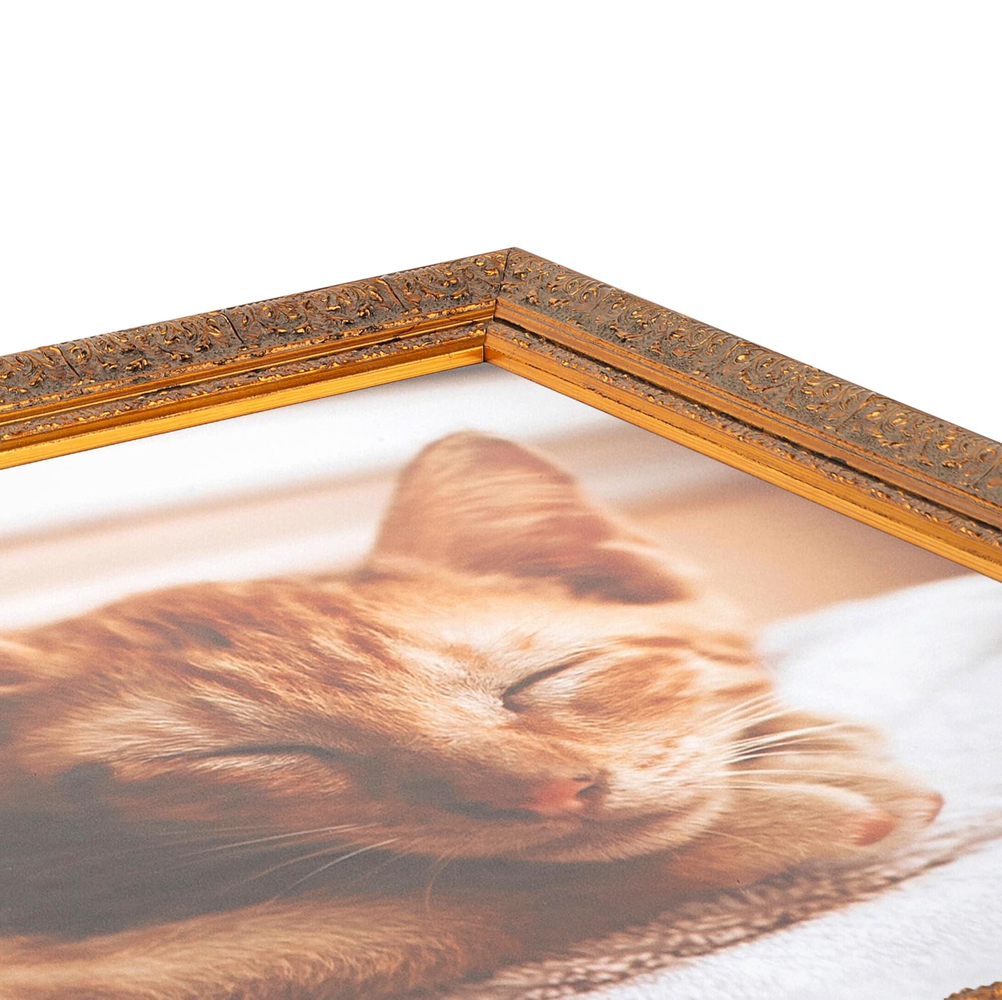 ArtToFrames ArtToFrames 18x36 Inch Multi Picture Frame, This 1.625 Inch Custom Wood Poster Frame is Gold with Green Tones - Comes with 060 Plexi Glass and Corrugated Backing (WOMOM79000-18x36)