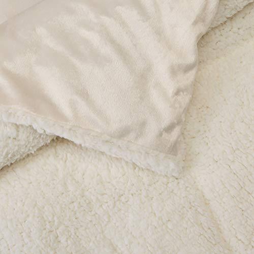 Elegant Comfort Elegant Comfort Premium Quality Heavy Weight Micromink Sherpa-Backing Reversible Down Alternative Micro-Suede 3-Piece Comforter Set, Queen, Ivory