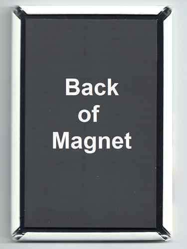 HotSS Magnets Refrigerator Funny Souvenir - Dave 2X3 Fridge Magnet Clark Five Rock N ROLL Music Group Band English Glad