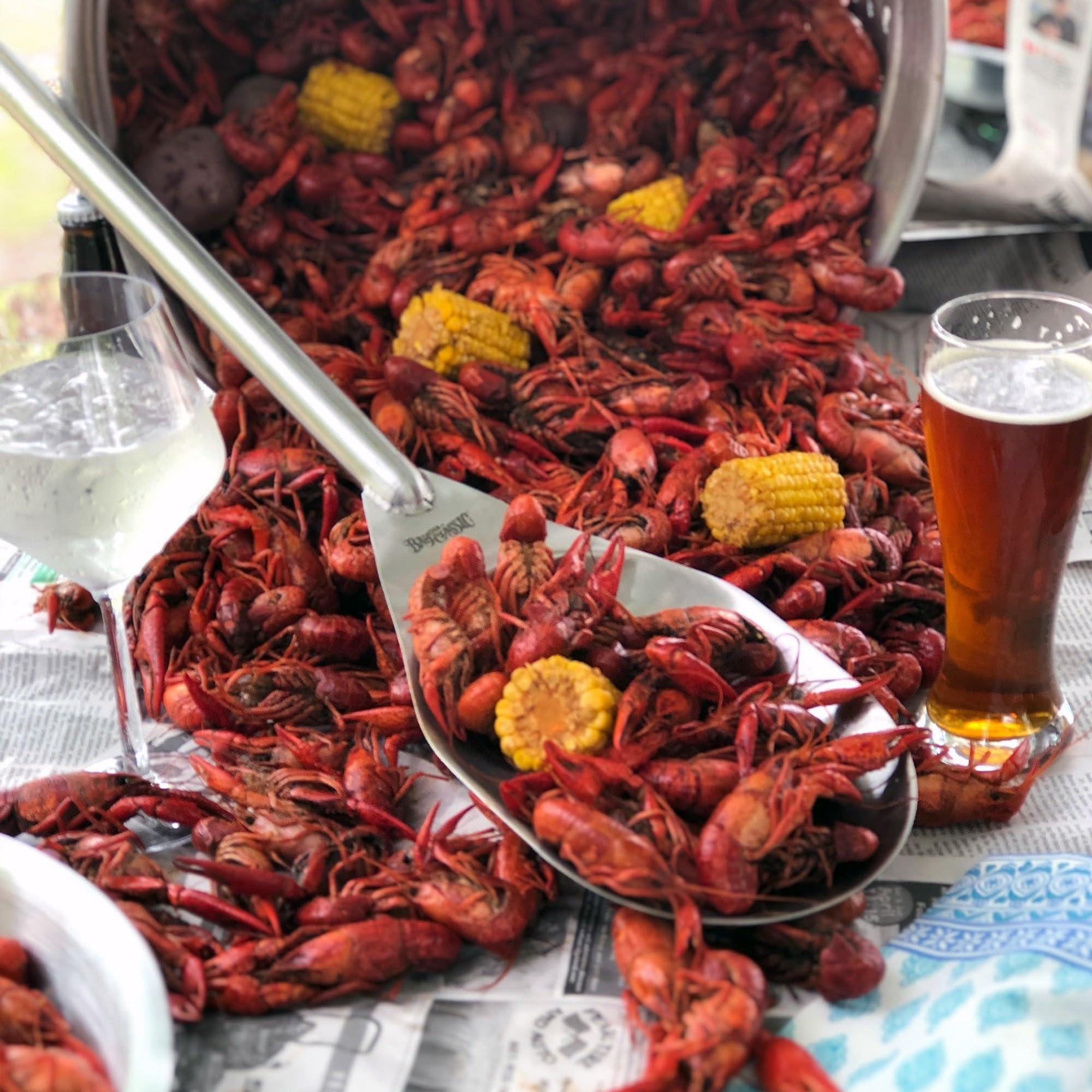 Bayou Classic Bayou Classic SS1 16-in Stainless Single Jet Cooker Features 12.5-in Tall Welded Frame 10-psi Pre-Set Regulator w/ 60-in Stainless Braided Hose