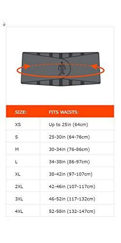 Ergodyne Ergodyne ProFlex 1500 Weight Lifters Style Back Support Belt, Medium, Black