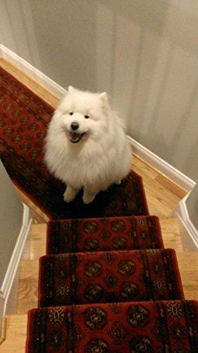 Rug Depot Rug Depot 152911 Rizzy Sorrento SO3331 Brown Traditional Hall and Stair Runner - 26\" Wide Hallway Rug Runner - Custom Sizing - Brown Background - Choose Your Length - 26\" x 40 feet