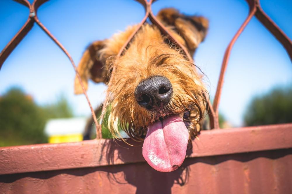 WallStickers4ever Large Vinyl Wall Decal Gaming Quote Joysticks Video Game Stickers Large Decor (ig4500) Grey