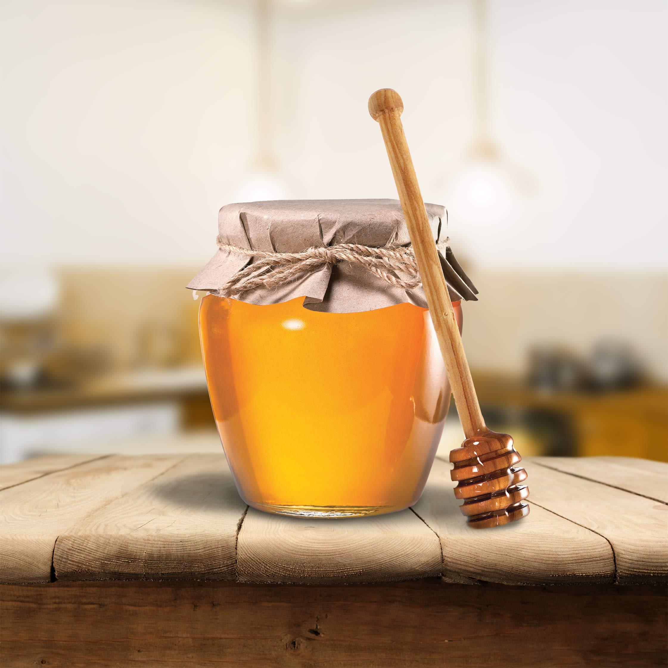 Harbor House Harbor House Cozy Cotton Comforter Set - Coastal, All Season Down Alternative Casual Bedding with Matching Shams, Decorative Pillows, Beach House, Reversible Seashell Blue Twin(72"x90") 3 Piece