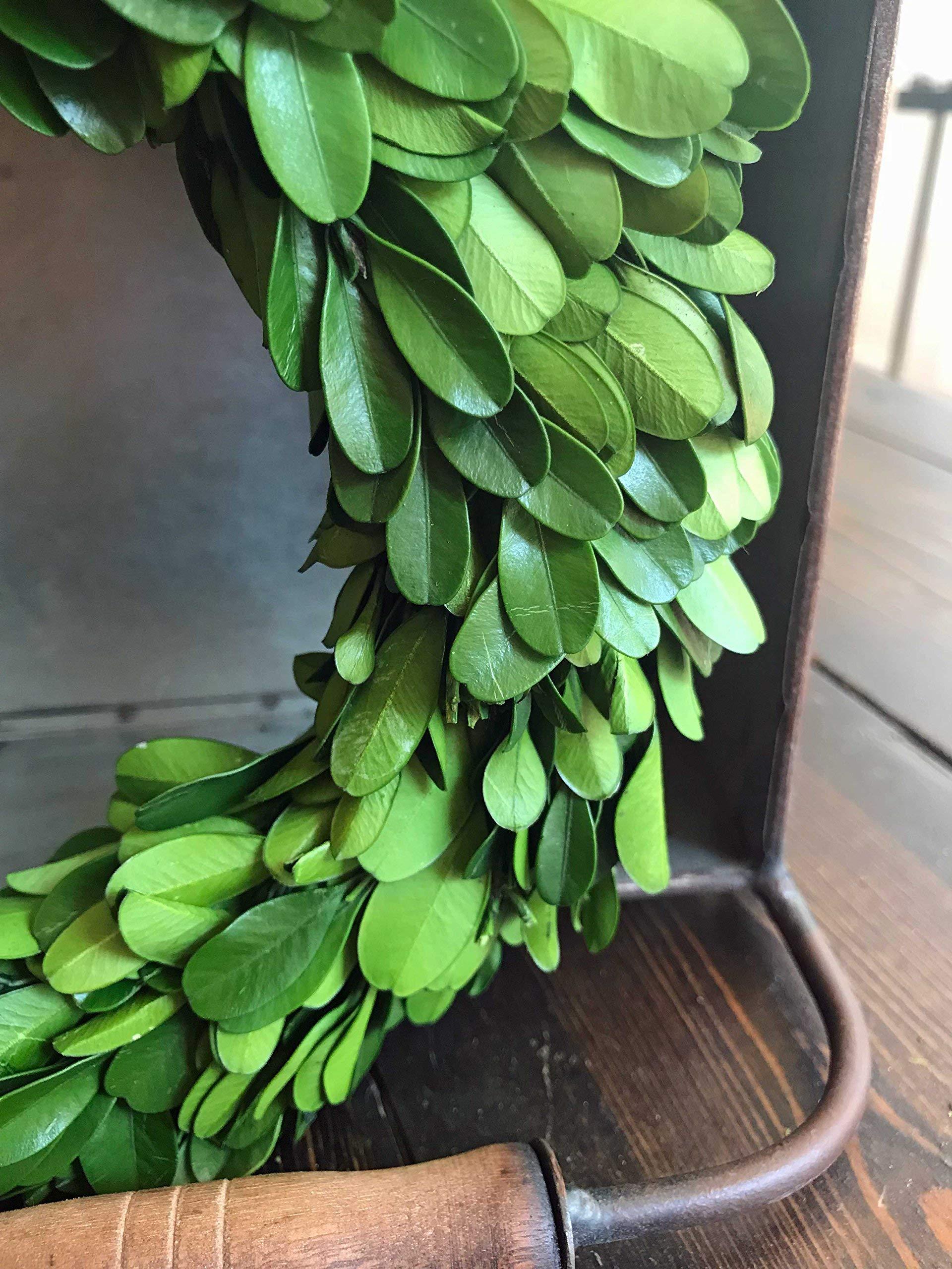 Wreath and Vine 10 Inch Small Mini Preserved Boxwood Wreath Candle Ring Holder, Decorative for Christmas Year Round, Spring, Summer, Thanksgiving, Rustic Farmhouse Holiday Home Decor, Handmade, Green