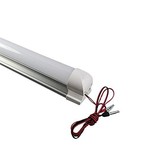 PINSHUO 10PCS 3 Years Warranty DC12V 2ft 0.6m 600mm 10W T8 LED Tube 12v Fluorescent Lamp Daylight Lights (10, Cool White)